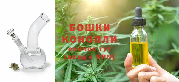 дживик Бронницы