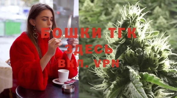 дживик Бронницы