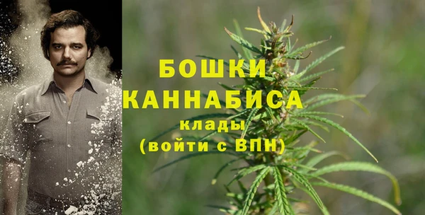 Альфа ПВП Бугульма