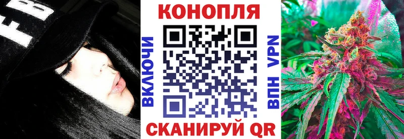Конопля сатива  Купить закладки  Вилюйск 